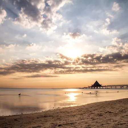 Salon Apartment Heringsdorf (Usedom)